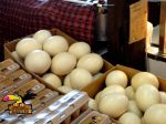 Ostrich Eggs