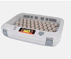 R-com Rcom Px 50 PRO 50 Fully Automatic Digital Egg Incubator